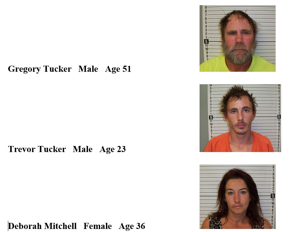 Tucker, Mitchell.JPG